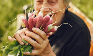 Old woman in a hat holding fresh radishes